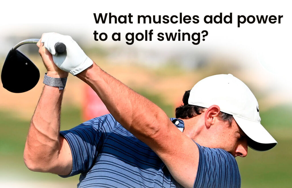 What muscles add power to a golf swing?